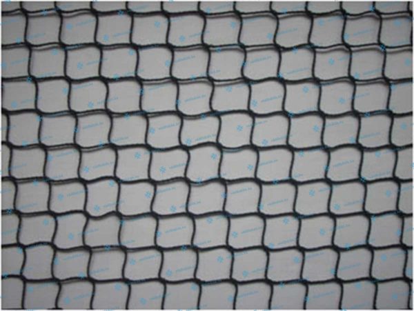 1202_020_06_w_v19_madarak_elleni_vedohalo_2